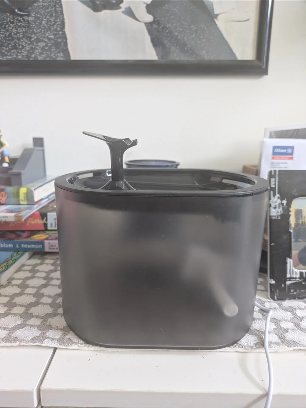 Modern Matte Black Pet Water Fountain Used